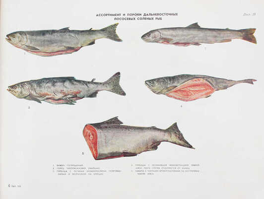 Богомолов Т.С. Рыба и рыбные товары. Альбом / Т.С. Богомолов, В.Г. Крутов. М.: Госторгиздат, 1960.